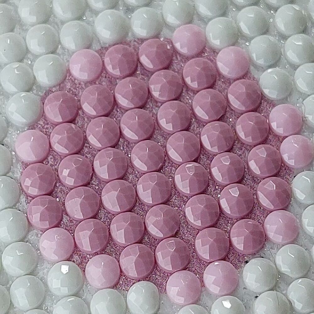 画像5880